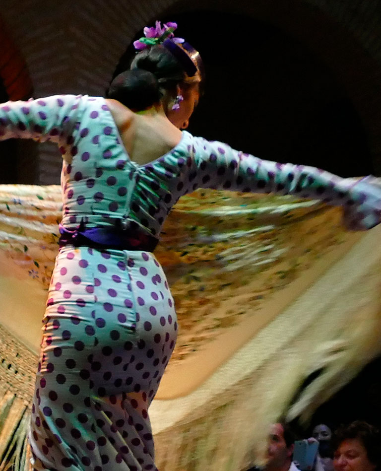 Detalle de baile flamenco