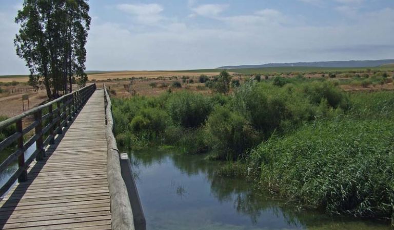 Ruta a caballo entre Sevilla y Doñana vista 2